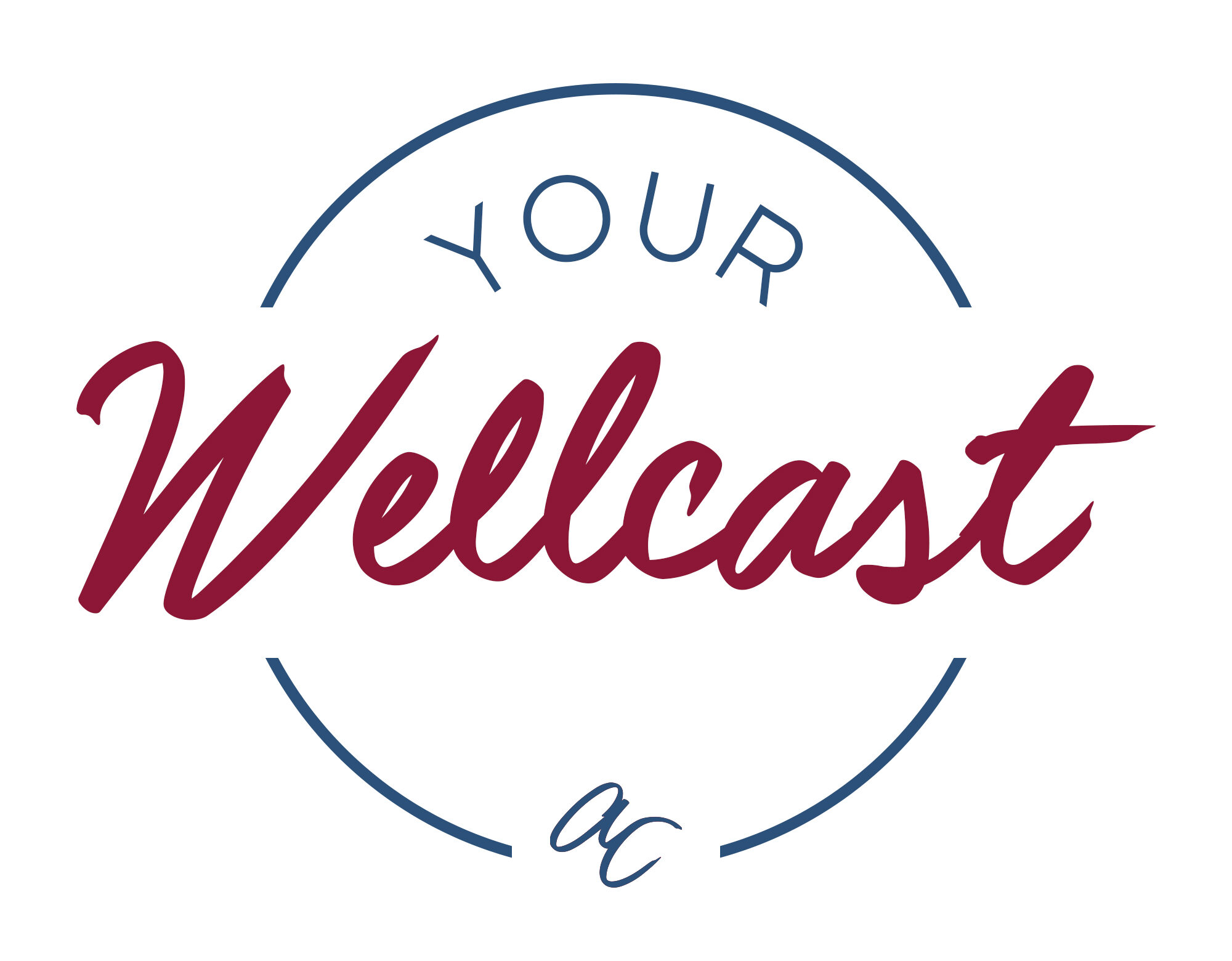 Wellcast-V2